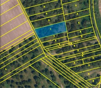 Prodej prostorného pozemku - Němčičky u Hustopečí - 1