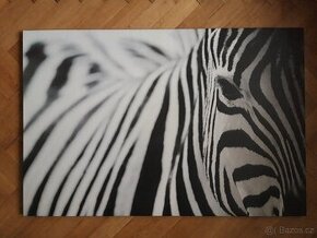 Velký obraz zebry na plátně z Ikey