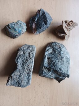 PŘÍRODNÍNY,ROH,ZKAMENELINY,PARUZKY.......