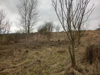 Prodej, pozemek 878m2, Kunovice - 1