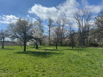 Prodej zahrady 495m2 Nový Jičín Loučka