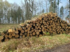 Palivové dřevo tvrdé Litvínov