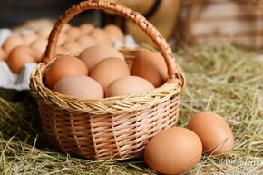 Domácí vejce,vajíčka