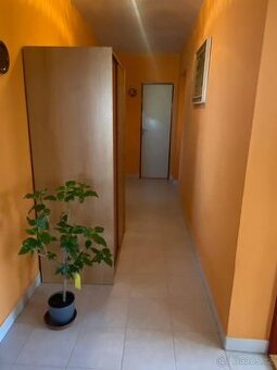 RD Slavkov u Brna, CP 218 m2, garáž