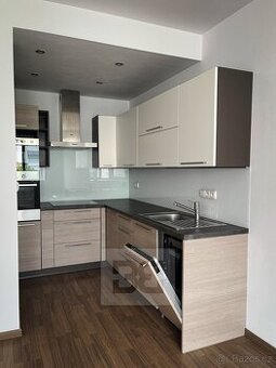 Pronájem bytu 2+kk, 53 m2 - Plzeň - Černice, ev.č. N08113