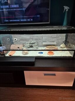 Terarium