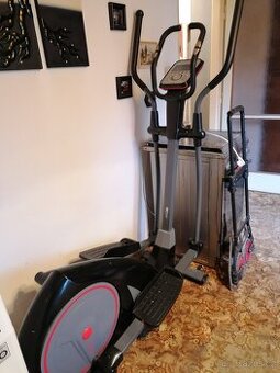 Fitness orbitrek