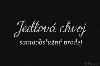 Jedlová chvoj / chvojí / klest - 1