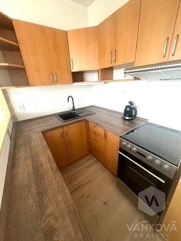 Pronájem bytu 1+1, Cvikov - 1