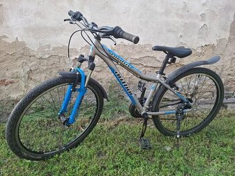 Author A-matrix - rám 13,5"