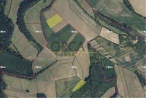 Aukce 2 ha pozemků s trvalým travním porostem v k.ú. Dolní S - 1