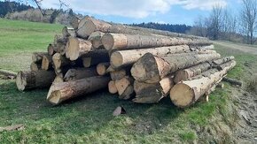 Stavební dřevo - 1