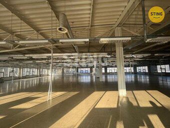 Pronájem haly o výměře 500 m2., 131708