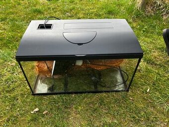 Terarium