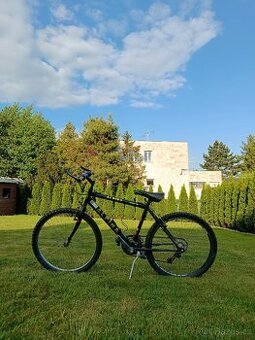 Horské kolo Alpina
