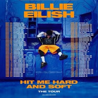Sháním jeden lístek na koncert Billie eilis