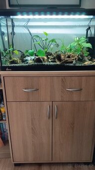 Daruji akvarium včetně ryb a příslušenství