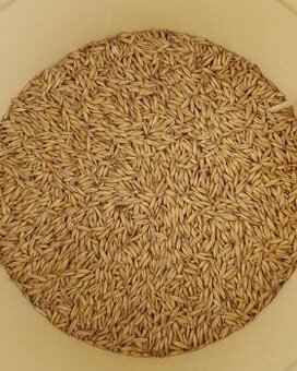 Oves, Ječmen, Pšenice - BIO