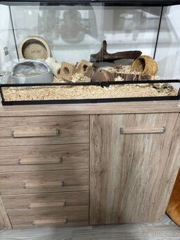 Prodám terarko pro křečka a vybavením