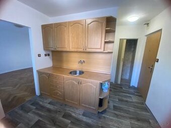 Pronájem bytu 1+KK u Zámeckého parku Litvinov