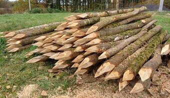 Kůly se špičkou - dub, 2 m