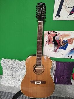 Dvanáctistrunná elektroakustická kytara.