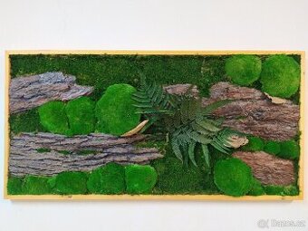 Mechově-dřevěný exkluzivní obraz 60cm x 120cm