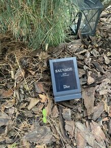 Dior Sauvage Elixir (60ml)