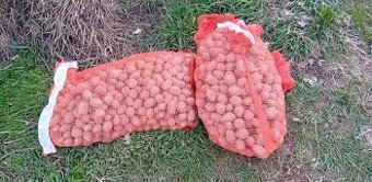 Prodám uznané brambory sadba co mi zbyla