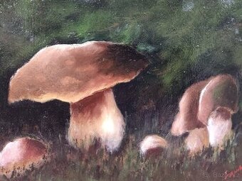 Obraz Jan Rapin - Hříbky 50x38cm - 1