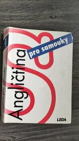 Angličtina pro samouky (Kollmanová)