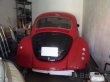 VW Brouk