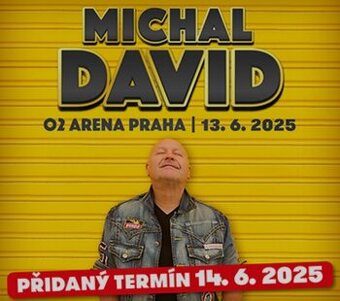 Vstupenky na Michala Davida