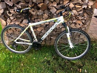 Juniorské kolo 24" ALPINA ECO M10