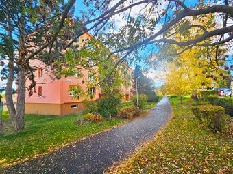 Prodej bytu 3+1, ul. Pod Přivaděčem, DV