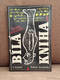 Bílá kniha o kauze Adam Juráček (Pavel Kohout)