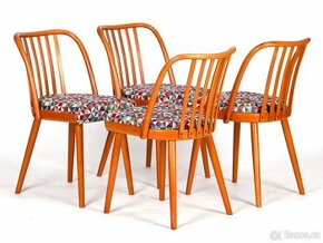 Jídelní židle TON. návrh A. Šuman. 1975. - 1
