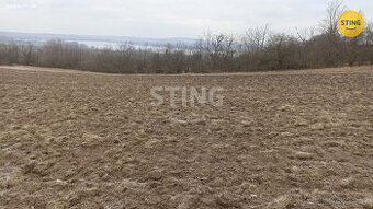 Prodej pozemku (vinice), 131139