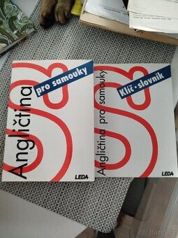 Angličtina pro samouky