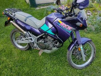 Kawasaki KLE 500