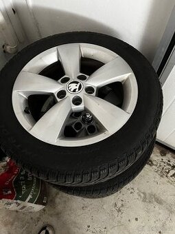 Škoda Rapid ALU kola 5x100