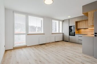 Pronájem bytu 3+1+lodžie v ul. Lidická v Mostě