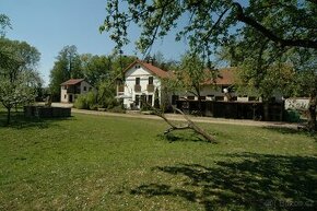 Asistentka – hospodyně + práce u koní