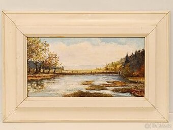 Obraz Joža, Šumava rašeliniště, olej 28x41