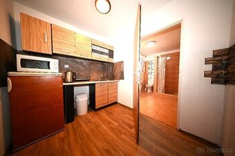 Pronájem zařízeného bytu 1+1 43m² Jundrov. Plně vybaveno, p