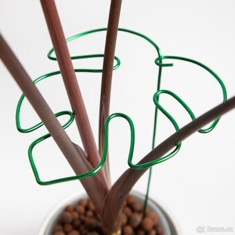 Opora pro rostliny, list monastery, zelená