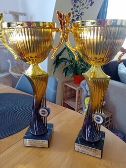 Trofeje  -Poháry