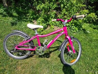 Specialized 20