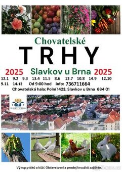 Trhy Slavkov u Brna