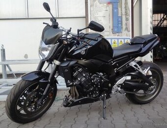 Yamaha Fz1-N 2009 - 1